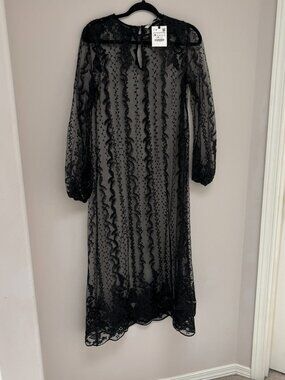 Zara Black Embroidered Lace Sheer Midi Dress Long Sleeve NWT M